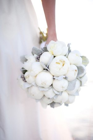 peonias blancas