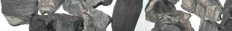 azabache sus poderes y beneficios para la salud
