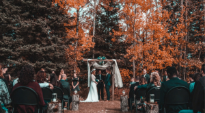 bantersnaps-y4bE8ST_CTg-unsplash_dtkmod