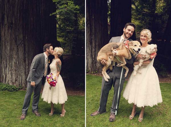 bodas y perros