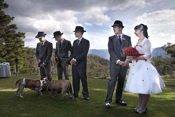 bodas y perros