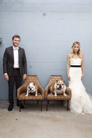 bodas y perros