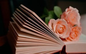 book-1769228_19201_cx7ofk