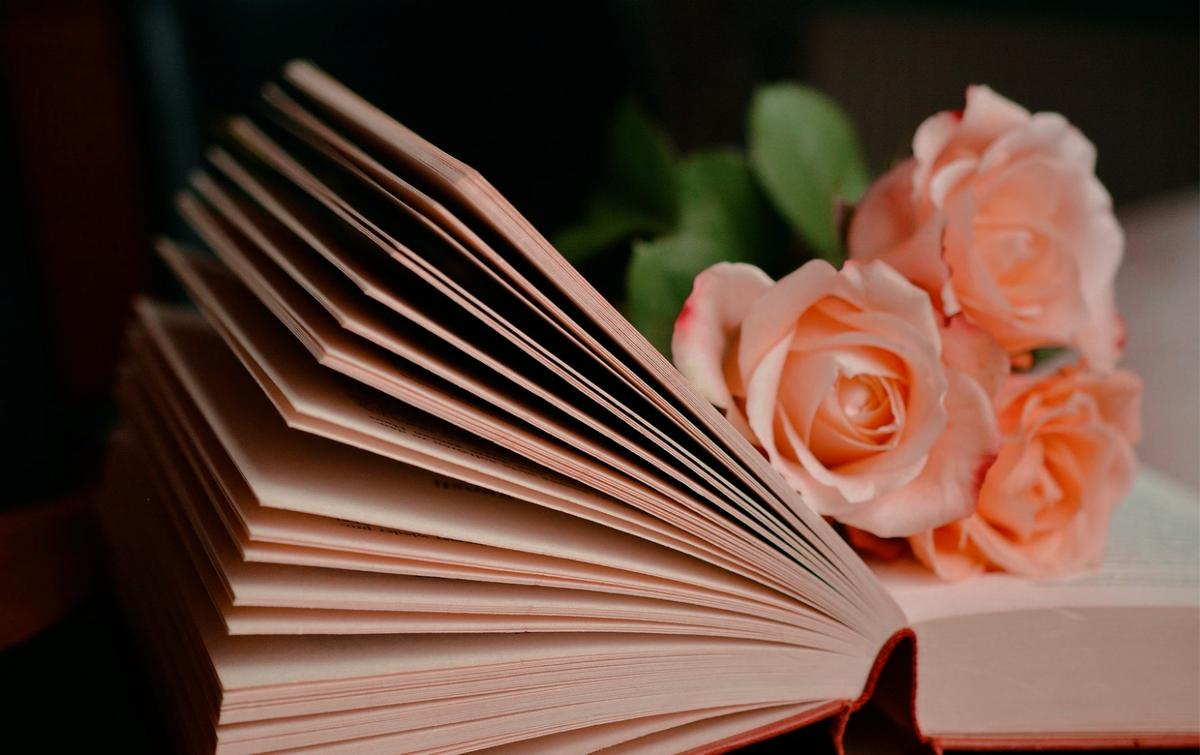 book-1769228_19201_cx7ofk