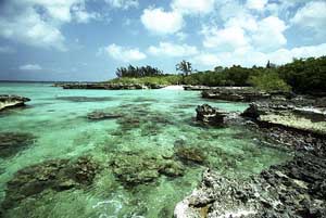 islas caiman