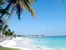 playa Aruba playa Aruba