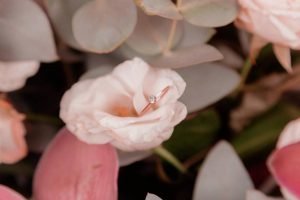 diana-polekhina-ELxhLejs28-unsplash1_ugsmss