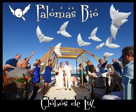palomas bio