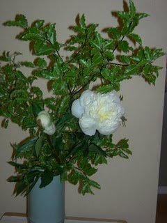 ikebana