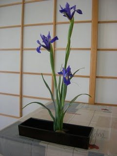 ikebana