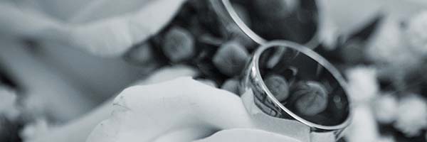 anillos