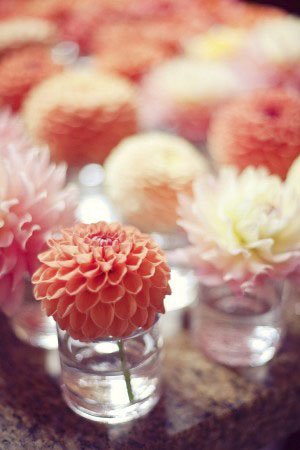elizabethannedesigns.com flores