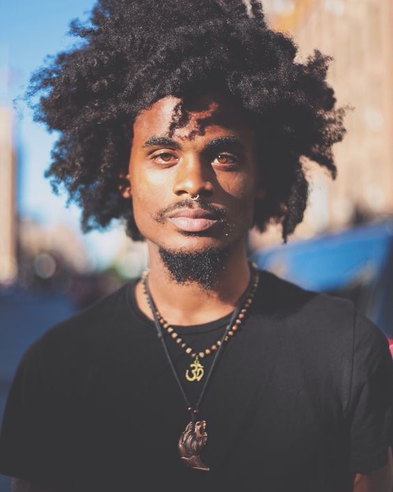 fotografías de peinados afro