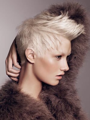 pelo corto