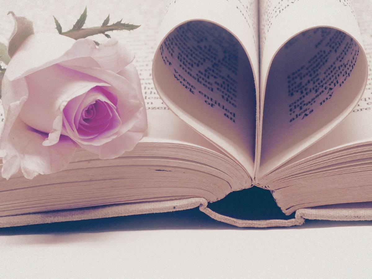 literature-3060241_19201_cv0pnb