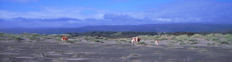 PARQUE NATURAL CHILOE