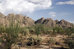 luna-de-miel-en-guaymas-mexico