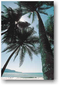 luna-de-miel-en-haiti