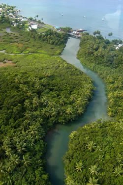 dominica isla
