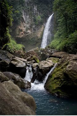 dominica