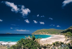 luna-de-miel-en-las-islas-guadalupe