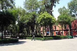 luna-de-miel-en-loreto