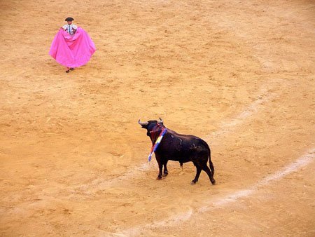toreo en malaga