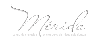 luna-de-miel-en-merida