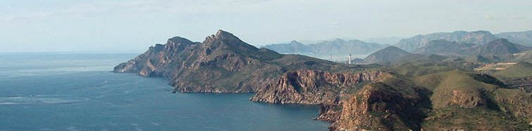 bahia portman