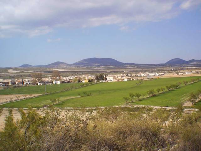 aviles