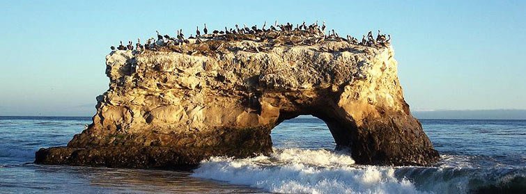 santa cruz