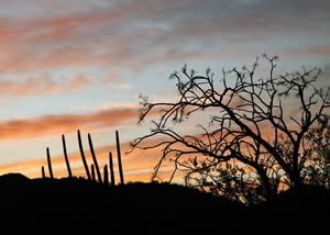 luna-de-miel-en-sonora-puerto-penasco