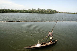 Pescador Vietnam