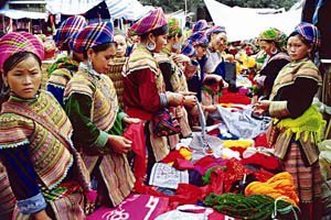 Sapa