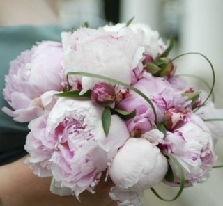 peonias