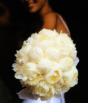peonias