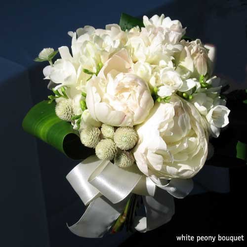 peonias