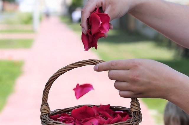 petalos-rosa-bodas petalos-rosa-bodas