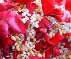 arroz y petalos arroz-petalos