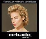 tendencias-de-peinados