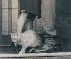 tipos de relacion