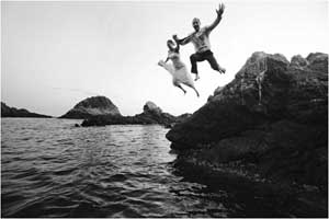 trash the dress