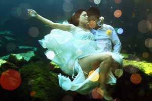 trash the dress