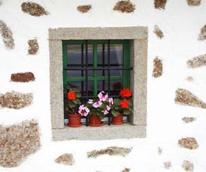 trucos jardineria