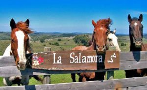 turismo-rural-en-uruguay-tres-opciones-para-este-otono